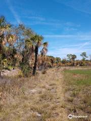 Cockroach Bay Aquatic Preserve