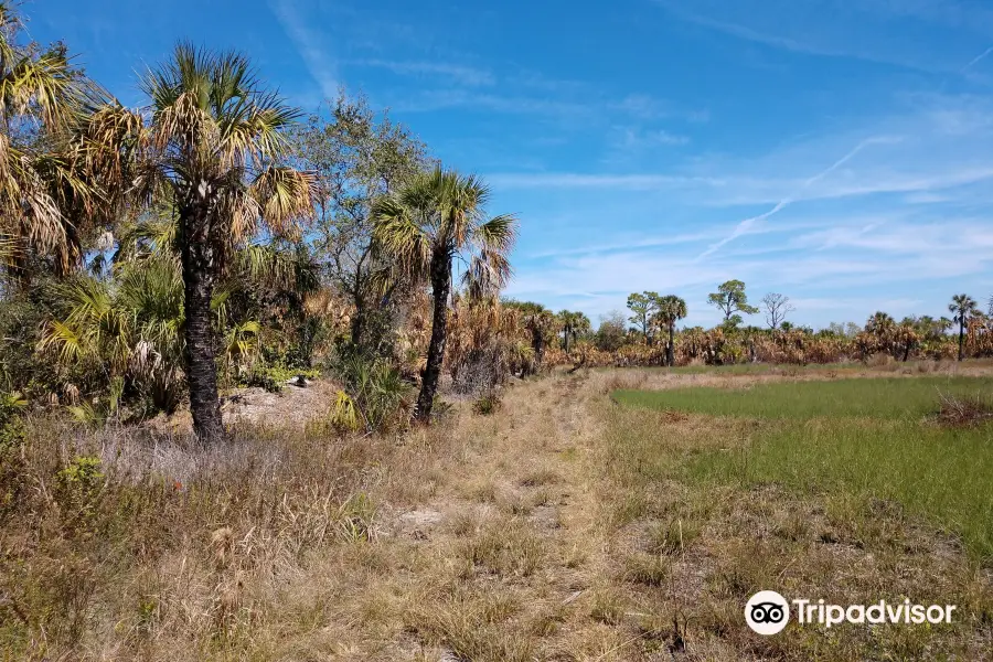 Cockroach Bay Aquatic Preserve