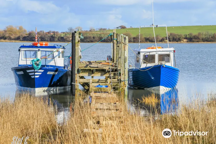 Wyre Estuary Country Park