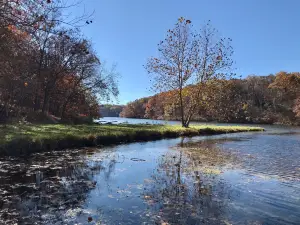 シロアム・スプリングス州立公園