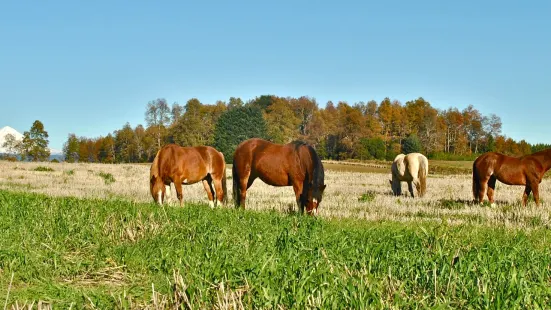 Corral del Sauce