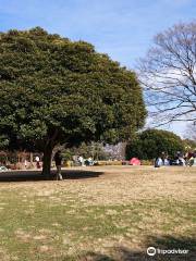 Osaki Park