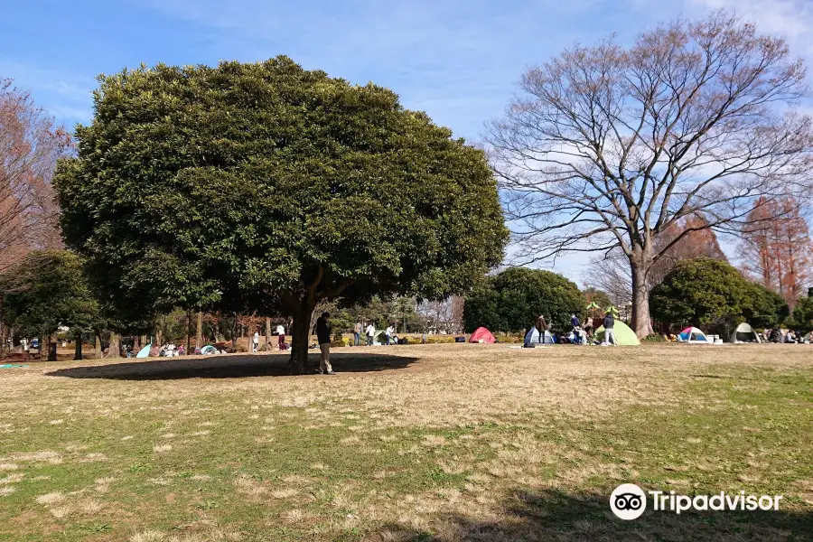 Osaki Park