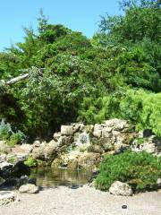 Peace (Rock) Garden
