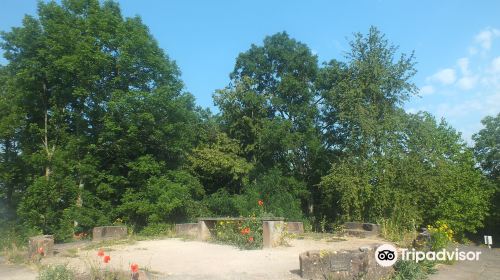 Englischer Garten Hugstetten