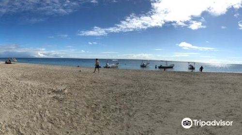 National Reef Park Of Puerto Morelos