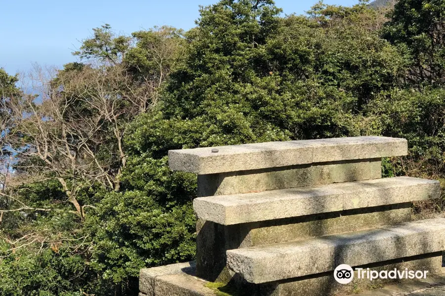 Ashiya Trunk of a Battery