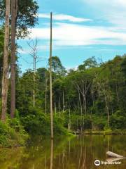 Balikpapan Botanical Garden