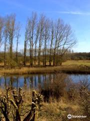 Natuurpark Lelystad