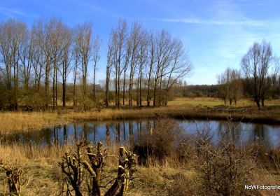 Natuurpark Lelystad