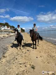 Sally's Riding School