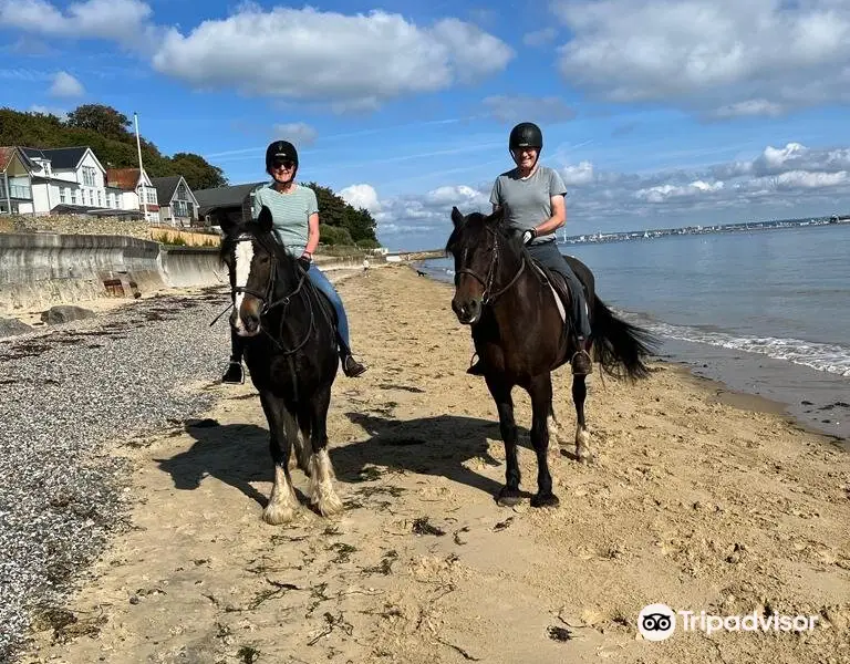 Sally's Riding School