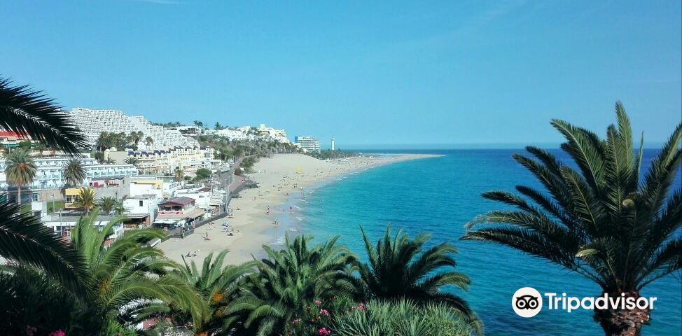 Costa CalmaTours