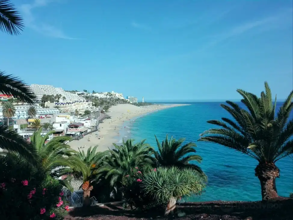 Hotels near Playa del Matorral