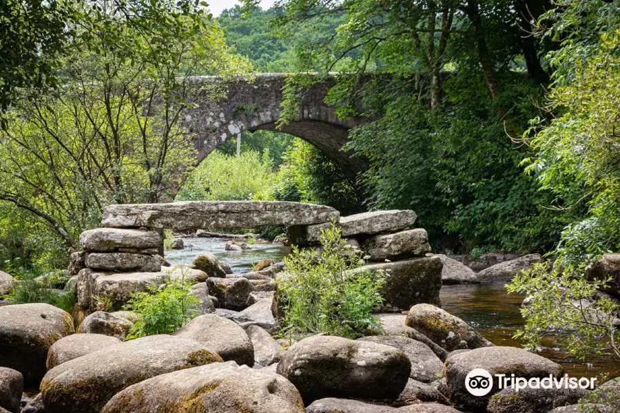 Dartmeet River Junction