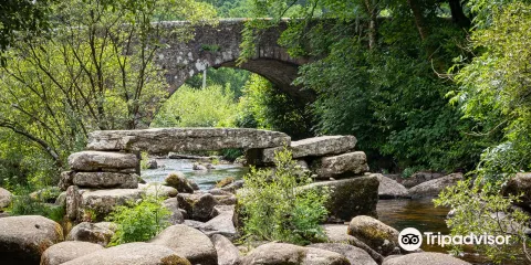 Dartmeet River Junction
