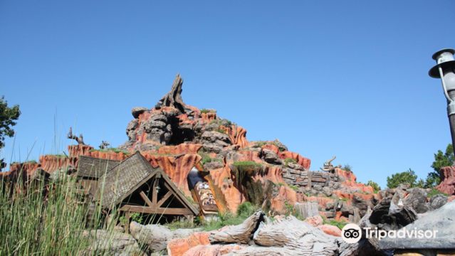 Tiana's Bayou Adventure