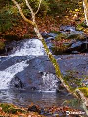 Utsue Forty-Eight Waterfalls Prefectural Park