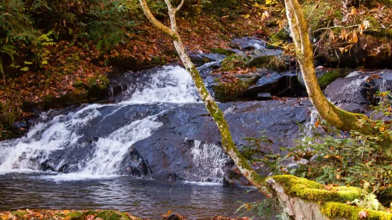 Utsue Forty-Eight Waterfalls Prefectural Park