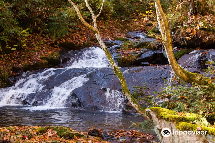 Utsue Forty-Eight Waterfalls Prefectural Park