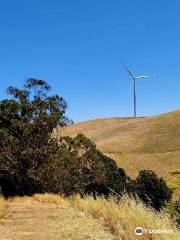 Brushy Peak Regional Preserve