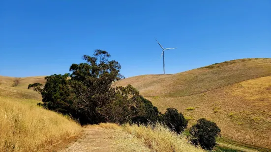 Brushy Peak Regional Preserve