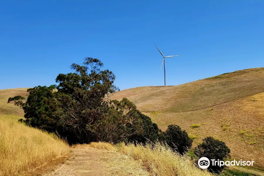 Brushy Peak Regional Preserve