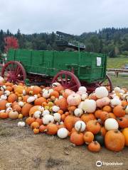 Bob's Corn & Pumpkin Farm