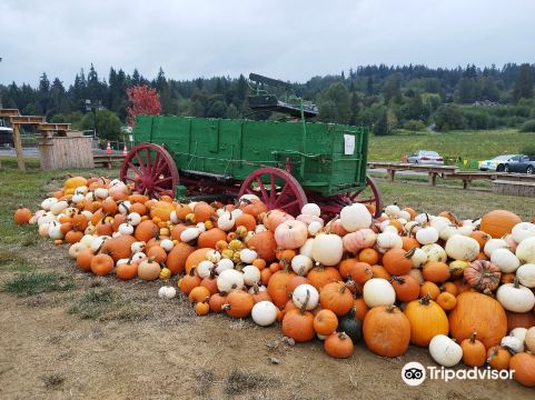 Bob's Corn & Pumpkin Farm