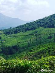 Chembra Peak