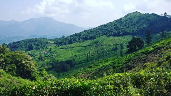 Chembra Peak