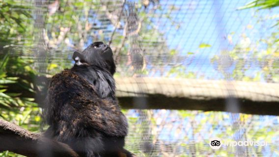 Zoo de Lagos