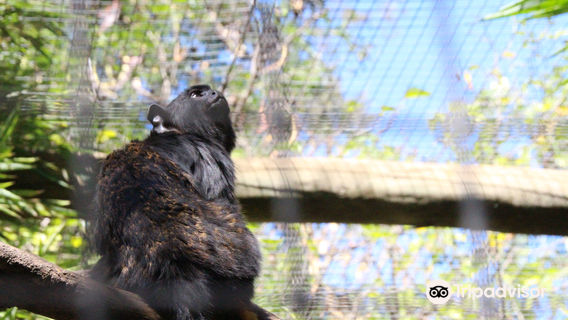 Zoo de Lagos