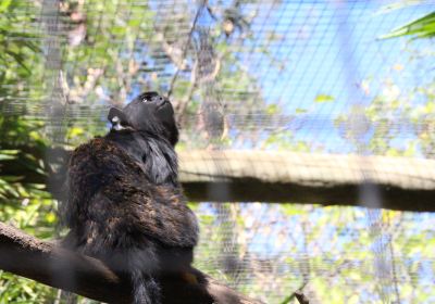 Parque Zoológico de Lagos