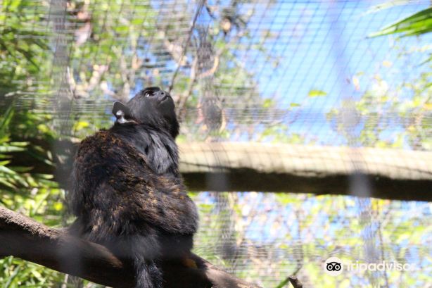 Zoo de Lagos