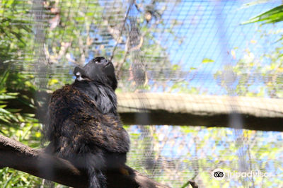 Zoo de Lagos
