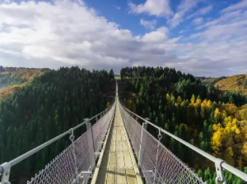 Geierlay Suspension Bridge