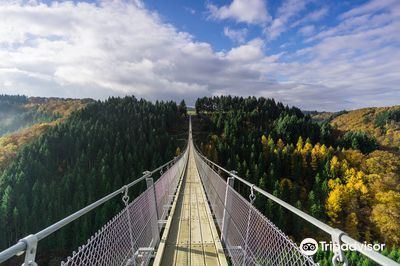 Geierlay Suspension Bridge