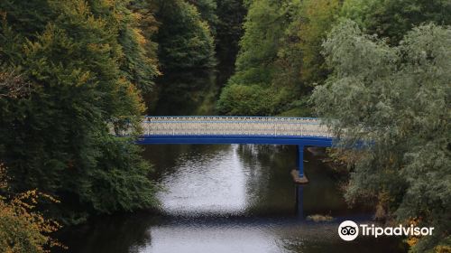 Glasgow Botanic Gardens