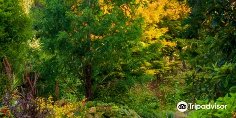 PowellsWood, A Northwest Garden