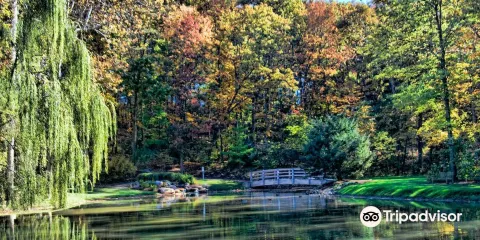 Edith J. Carrier Arboretum