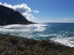 Yachats coastline