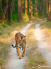 Kanha National Park