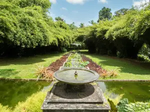Brief Garden, by Bevis Bawa