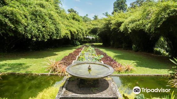 Brief Garden, by Bevis Bawa