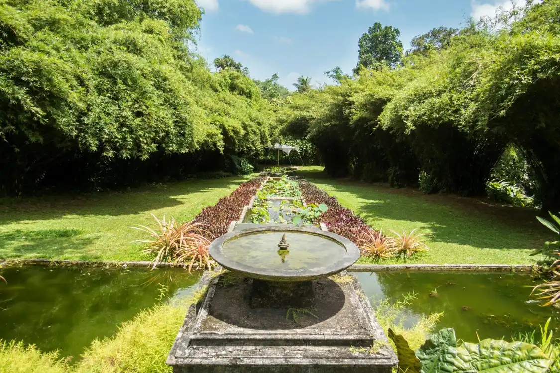 Hotels near Brief Garden, by Bevis Bawa