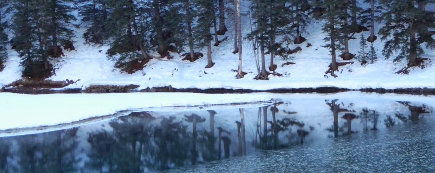 Tibble Fork Reservoir