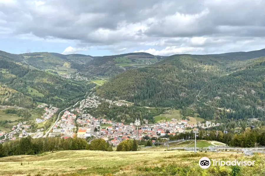 Hasenhorn Coaster Todtnau