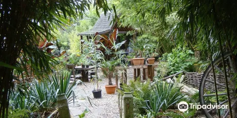 Henstead Exotic Garden