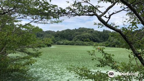 ひめはるの里花菖蒲園